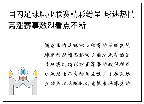 国内足球职业联赛精彩纷呈 球迷热情高涨赛事激烈看点不断
