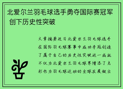 北爱尔兰羽毛球选手勇夺国际赛冠军 创下历史性突破