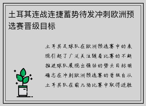 土耳其连战连捷蓄势待发冲刺欧洲预选赛晋级目标
