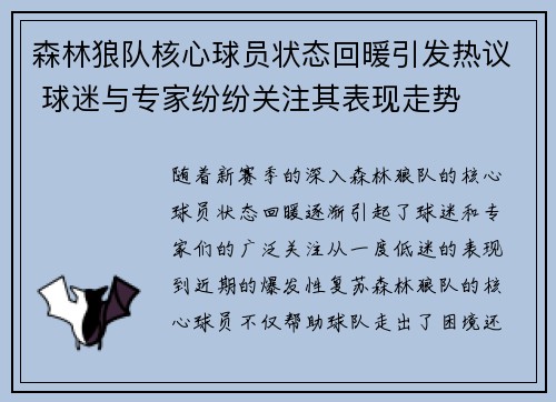 森林狼队核心球员状态回暖引发热议 球迷与专家纷纷关注其表现走势