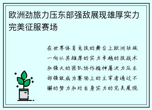 欧洲劲旅力压东部强敌展现雄厚实力完美征服赛场