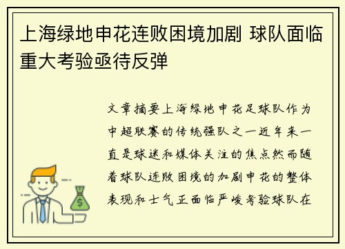 上海绿地申花连败困境加剧 球队面临重大考验亟待反弹